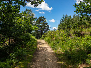 Fototapeta na wymiar Hiking