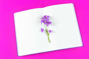 An open notebook with purple flowers on a bright pink background. Place for text. The concept of learning, sketch, herbarium gathering, drying flowers. Flat lay, minimalism, top view, design.