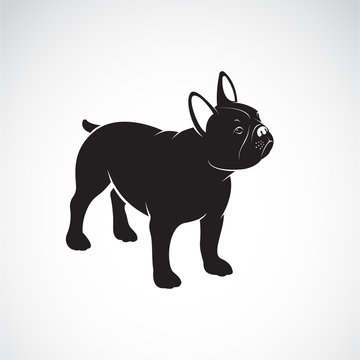 Vector of bulldog design on white background. Pet. Animals. Dog logo or icon. Easy editable layered vector illustration.