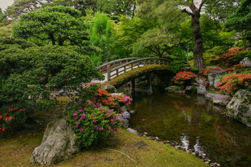 Fototapeta na wymiar garden in kyoto palace