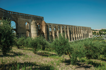 Olive trees in front aqueduct with arches near road to Elvas