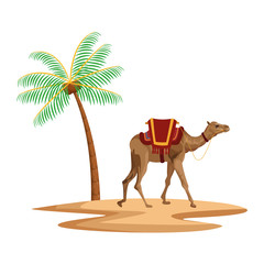 palm and camel icon cartoon