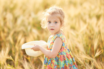 Cute child walking in the wheat golden field on a sunny summer day.  Girl smiling and happy. ...