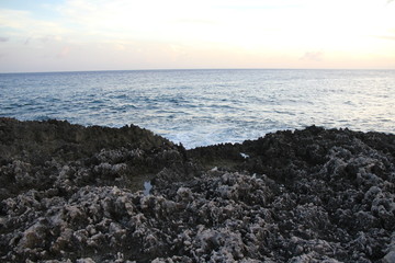france summer beach surfer coast