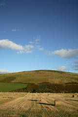 Scottish Landscape