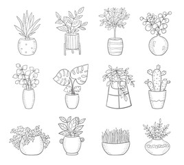 Set of cute house plants in pots