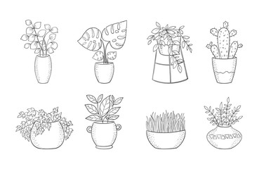Set of cute house plants in pots
