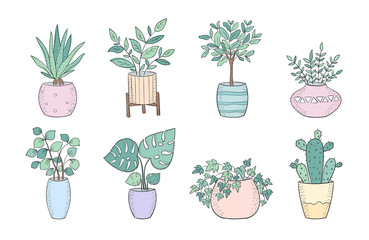 Set of cute house plants in pots