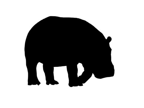 iowmffbmjkpm