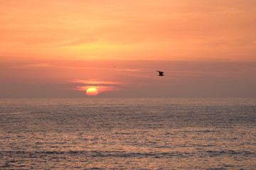 sunset over sea