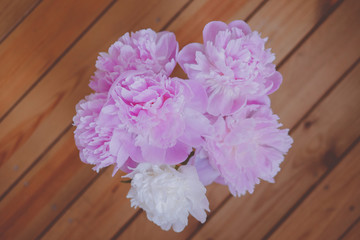 The May flower god, pink peony flower