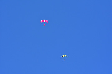 スカイダイビング