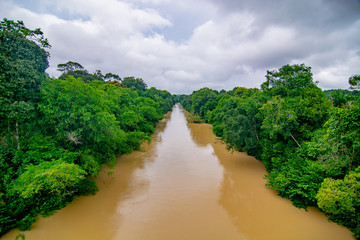 Water pollution caused by mud from logging activities in river  at Malaysia