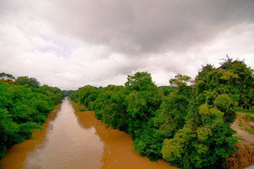 Water pollution caused by mud from logging activities in river  at Malaysia