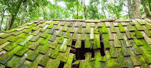 Abandoned cabin with green moss and lichen on the wooden roof.