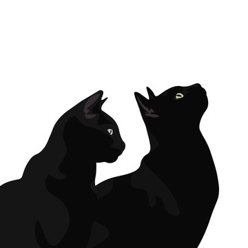 Ilustraci&oacute;n de gato de pelo negro. Dise&ntilde;o plano de felino domestico, silueta de animal observando.