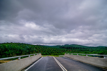 Road surrounded by tropical forest