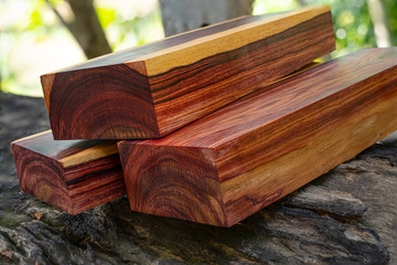 Wood logs of Burmese rosewood