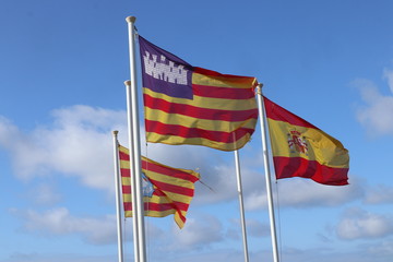 flags of different countries