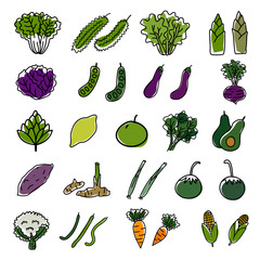 Drawing of various vegetables icon set