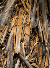 Wood log cracked in small pieces, rotten and woodworm damaged