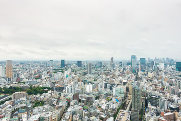 Fototapeta na wymiar Cityscape of Tokyo, the most busiest city in Japan and Asia.