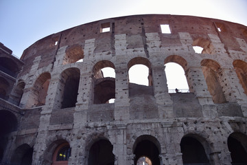 Obraz premium Rome ,Italy - June 2019 - Colosseum in Rome. Colosseum is the most landmark in Rome. Huge Roman amphitheatre.
