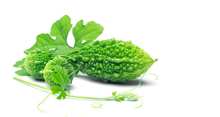 Fresh bitter gourd isolated on white background
