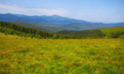 green mountain valley panorama at the bright summer  day