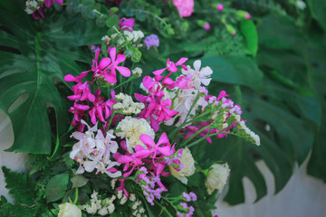 flowers in the garden