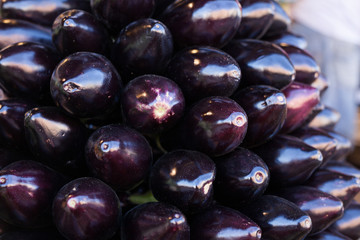 Fresh eggplant on market counter