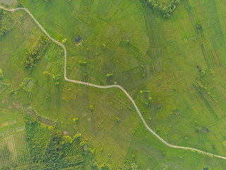 Asphalt road through green fields On the bright sky