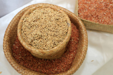 thailand ancient old rice