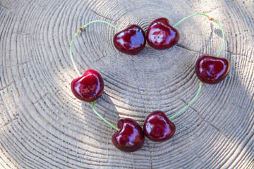 cherry berry heart symbol stub nobody tree shadow