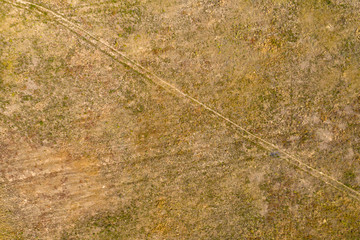 wild field, view from above