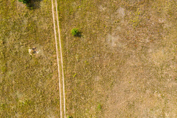 wild field, view from above