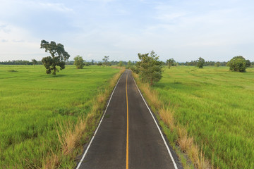 Asphalt road through green fields On the bright sky