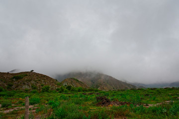 Foggy landscape from Volcan, Jujuy, Argentina