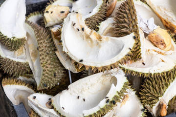 Consumed durian husks waste recycled as durian husk pulp paper