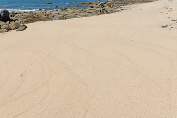 志賀島　弘の砂浜