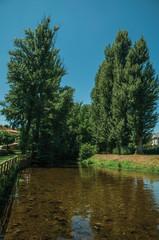 Fototapeta na wymiar Sever River among trees in Portagem