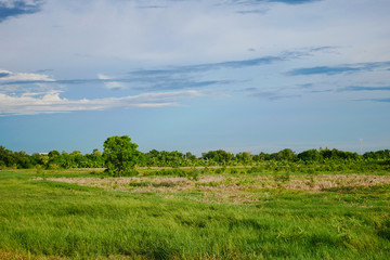 landscape green field before rain storm at thailand