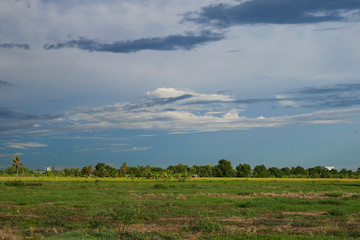 landscape green field before rain storm at thailand