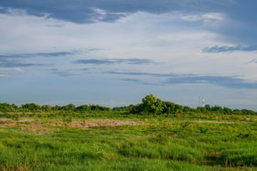 Fototapeta premium landscape green field before rain storm at thailand