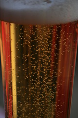 perlendes Bier im Glas