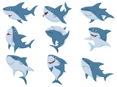 Shark Cartoon Images – Browse 79,701 Stock Photos, Vectors, and Video |  Adobe Stock