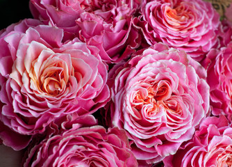 Bouquet of fresh roses, flower bright background. Closeup. Roses in flower shop.