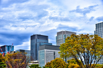 Naklejka premium Cityscape of Marunouchi, Tokyo, Japan.