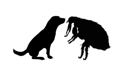 Vector silhouette of flea and dog on a white background. Symbol of parasites.
