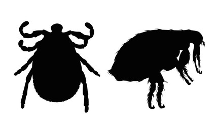 Vector silhouette of flea and tick on a white background. Symbol of parasites.